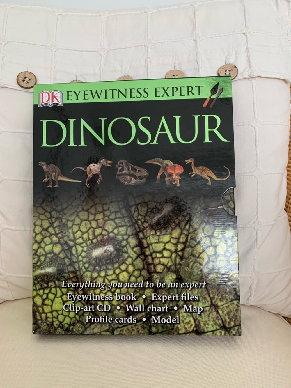 Dinosaur Book - Green